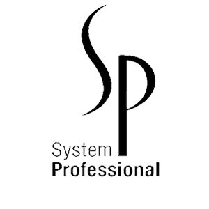 System Professional